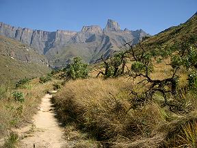 Drakensberge