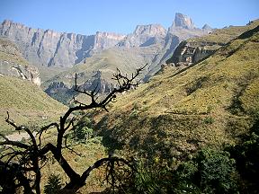 Drakensberge