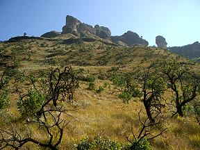 Drakensberge