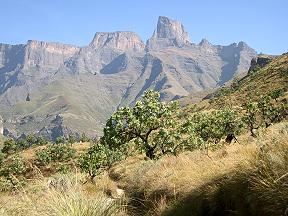 Drakensberge