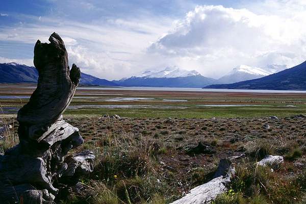  Patagonien / Argentinien