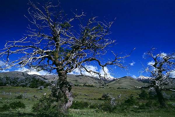  Patagonien / Argentinien