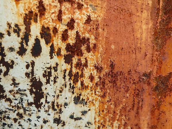 Rost