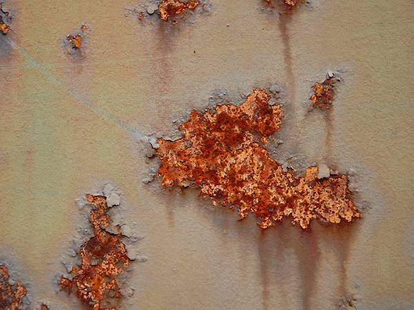 Rost