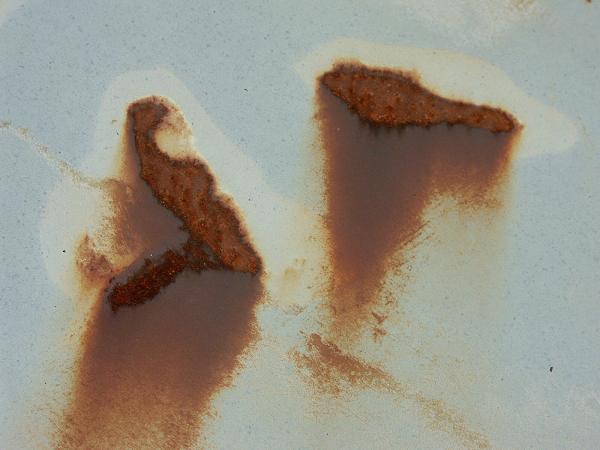 Rost