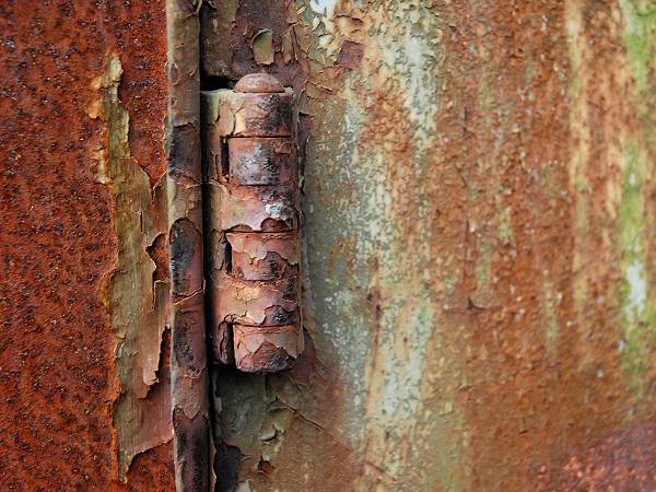 Rost