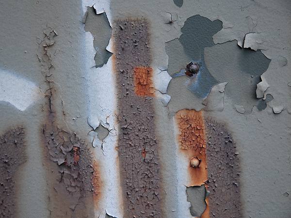 Rost