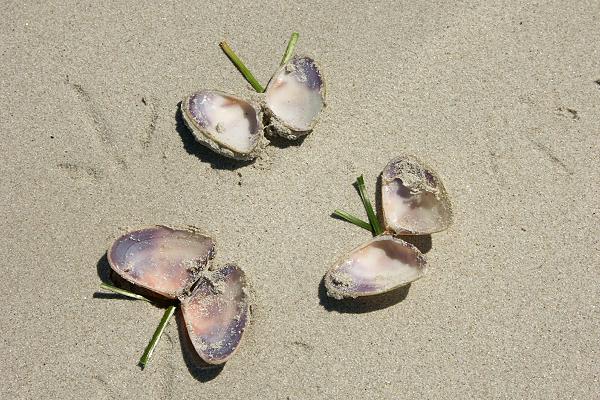 On the Beach