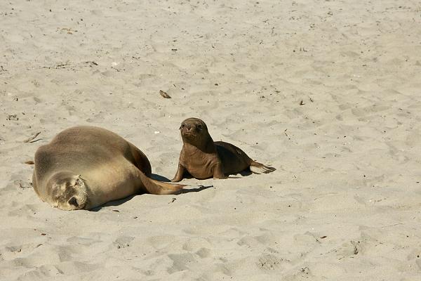 On the Beach