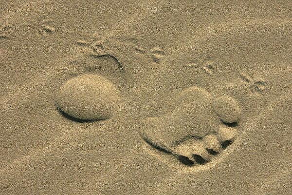 On the Beach