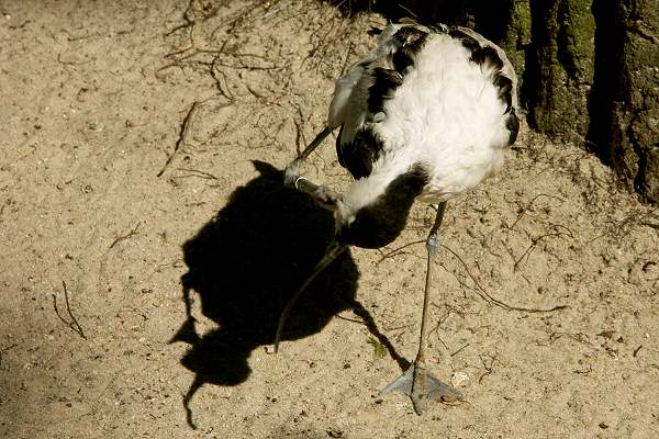 Zoo Hannover